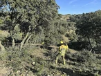 El nuevo convenio de Tragsa reconoce a las BRIF su categoría de bomberos forestales y les sube el sueldo