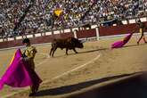 La feria de San Isidro vuelve a batir récord de abonados por tercer año consecutivo