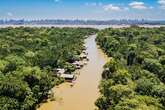 Destruyen selva amazónica para construir una "autopista ecológica" en la ciudad brasileña que albergará la Cumbre del Clima