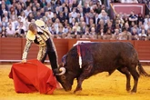 Manuel Escribano encabeza el cartel del nuevo regreso de los toros a la singular plaza de Tarifa