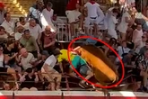 Una vaquilla salta a las gradas y arremete contra todo lo que pilla en Cadreita (Navarra)