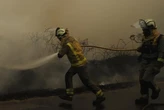 Cuatro ministros comparecerán la próxima semana en el Senado para abordar los incendios