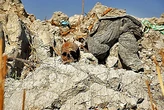 El régimen de Asad trasladó miles de cuerpos de fosas comunes para encubrir sus crímenes