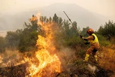 Los bomberos forestales denuncian el despido de más de 4.000 trabajadores tras la campaña de incendios