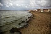 La fauna empieza a huir de la zona sur del Mar Menor ante la falta de oxígeno