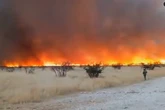 Un incendio en Namibia arrasa más de la tercera parte de la reserva de Etosha, uno de los parques naturales más grandes de toda África