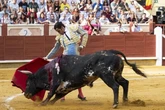 La verdad del toreo de Uceda Leal y Fortes cala en Cuenca