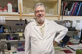 La novedosa propuesta de una 'spin-off' del Instituto Cajal contra el alzhéimer: terapia génica para luchar contra la neurodegeneración