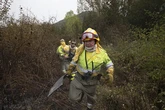 Una década detrás de la categoría de bombero forestal: "¿Cómo justifica alguien que lleva 30 años en incendios si ha sido peón de caza?"
