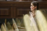 El sistema eléctrico registró una nueva sobretensión a la misma hora que Aagesen defendía su gestión en el Parlamento
