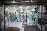 Así funciona la 'superplanta' que fabrica seis de cada diez vacunas contra la gripe en el mundo