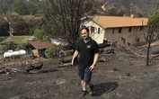 Los dos 'oasis' de vida que se salvaron en Ayoó, devorado por el fuego de Molezuelas