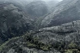 Los incendios forestales son cada vez más intensos, más frecuentes, más destructivos y también más caros