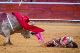 Roca Rey, cogido en Huelva y descartada rotura de ligamentos: "Tumefacción con hematoma; precisa de estudio radiológico"