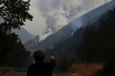 Hoy un 40% de la población mundial tiene más riesgo de exposición a incendios forestales que hace 20 años