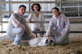 El Gobierno estudia subir de 5 a 6 años la duración de la carrera de Veterinaria para adaptarla a la UE y reducir la "sobrecarga docente"
