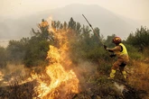 Incendios graves en España hoy, última hora en directo | Sánchez visita hoy Cáceres y Zamora para conocer la evolución de los incendios