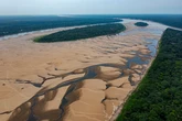 La Amazonia brasileña se convierte en un spa mortal: el agua de los lagos alcanza los 41 grados