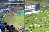Una lluvia de zapatos interrumpe un partido de fútbol en Bogotá (Colombia)