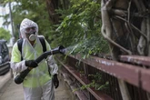 Los fantasmas de la pandemia regresan a China por culpa del chikungunya: "Cuarentenas, funcionarios fumigando calles, entrando a la fuerza en casas... Ha sido como revivir una pesadilla"
