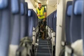 La decisión de la justicia europea enfurece a los dueños de mascotas: "Equiparan el daño material y moral de perder a Naia a la pérdida del equipaje"