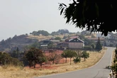 Denunciar, hacer fotos y guardar facturas: guía para actuar tras los incendios en el campo