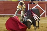 Sebastián Castella resurge en Palencia con un importante triunfo de tres orejas