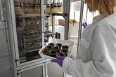 Sanidad retira cosméticos de cuatro marcas por fabricación irregular y deficiencias en el etiquetado