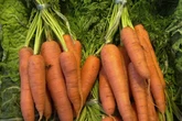 Seis hospitalizados en Francia por botulismo, intoxicados por la ingesta de zanahorias enlatadas