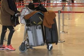Cumplir la normativa europea: una garantía para aerolíneas y pasajeros