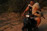 En moto o a cuestas, ganaderos se esfuerzan es salvar a sus animales de las llamas en Grecia