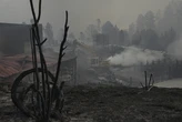 Las pérdidas económicas por los incendios de este verano rebasan ya en nueve veces las de todo 2024: "Vamos a tardar años en recuperarnos"