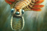Descubren el fósil de un monstruo marino prehistórico con tres ojos y dientes afilados