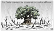Ricardo