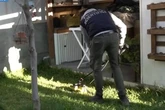 Detienen a una mujer de 25 años en Calabria (Italia) por asesinar a su tres hijos recién nacidos