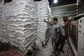 Mueren de hambre al menos 29 personas, la mayoría niños y ancianos, en los dos últimos días en Gaza