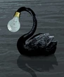 Cisne negro, pájaro de mal agüero