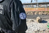 La bomba de St. Denis: 200 kilos de la Segunda Guerra Mundial en plena línea férrea cerca de París: "Suponía una grave amenaza"