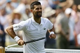 Djokovic, a una victoria de las 100 en Wimbledon: "Mis estadísticas tienen más números que años Alcaraz y Sinner"