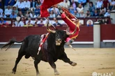 La generosidad sin límite de Román obtiene premio en Las Ventas; la bragadísima confirmación de San Román, no