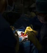 Así luchan contra el cáncer la metástasis de Pepe y de otros 400 españoles: "Los tumores llegan vivos al laboratorio"