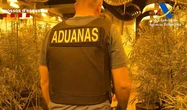 Golpe al narcotráfico: droga valorada en 1,5 millones, dos macromafias de Albania y Francia y ocho pistolas en Barcelona