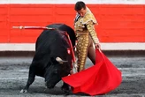 EL MUNDO, premiado de nuevo en Bilbao: Gonzalo I. Bienvenida gana el trofeo a la mejor crónica taurina del Club Cocherito