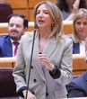 El PP pide una auditoría y presenta un plan contra el colapso "estructural" de la Seguridad Social
