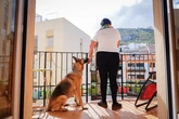 María, 9 años en riesgo extremo, acosada 600 veces por su ex, que llegó a ahorcar a su perro: "Ministra, él me ha maltratado, pero esta pulsera también"
