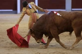 Javier Zulueta, ante su nuevo compromiso en las nocturnas de Las Ventas: "Quiero que vean el torero que quiero llegar a ser"