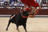 Crónica de un gesto fallido: la raza de Marco Pérez no fue suficiente contra los elementos y el muro de su espada en una tarde hostil en Las Ventas
