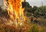 Siete horas atrapados rodeados por el fuego en Riaño: "Salvamos de milagro haciendo un contrafuego con un mechero"