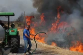 Los expertos denuncian el grave error de fiarlo todo a la extinción:  "Tenemos una legislación que favorece los incendios"