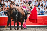 Una solemne faena sin premio de Morante: la ambición de Daniel Luque amplía su inalcanzable historial en Azpeitia